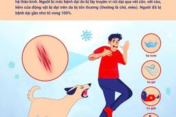 HƯỞNG ỨNG NGÀY THẾ GIỚI PHÒNG CHỐNG DẠI